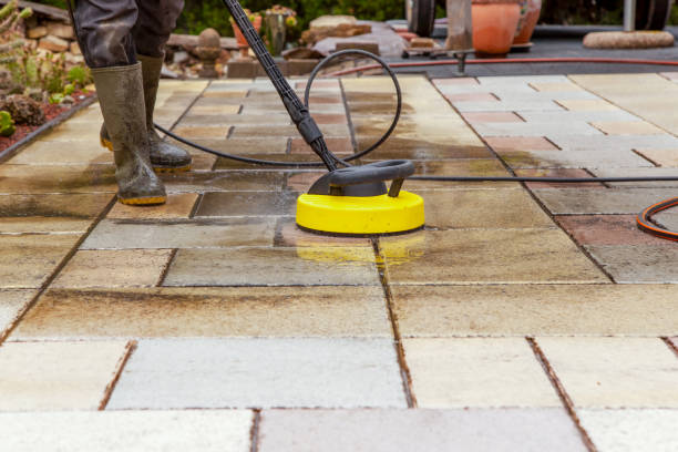 Best Animal Enclosure Cleaning  in New Lno, LA